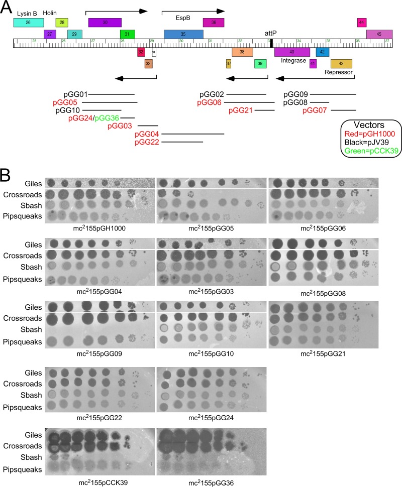 FIG 3