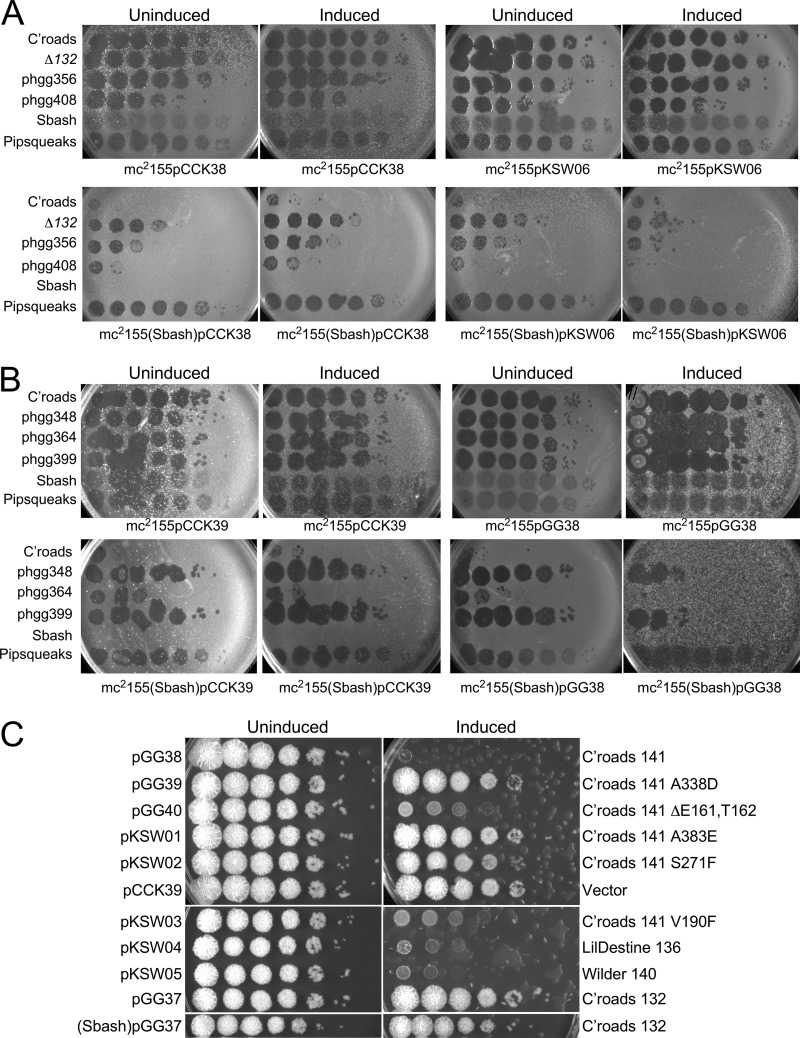 FIG 6