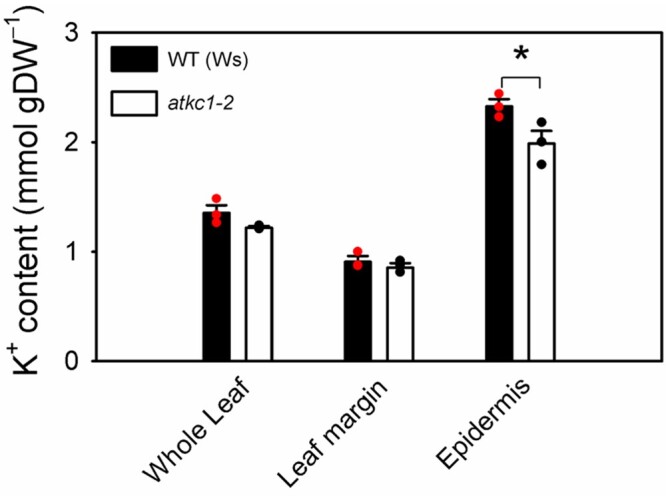 Figure 5