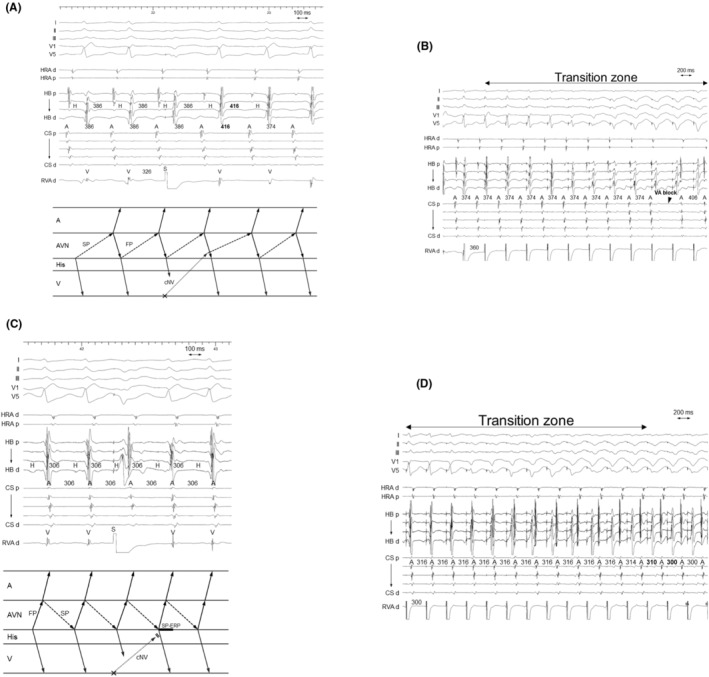 FIGURE 3