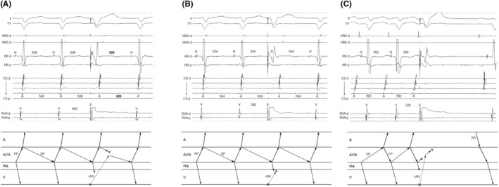 FIGURE 4