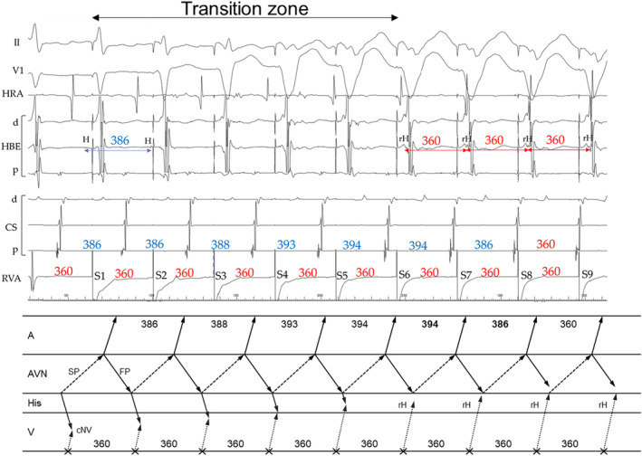 FIGURE 6