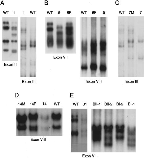 Figure  2