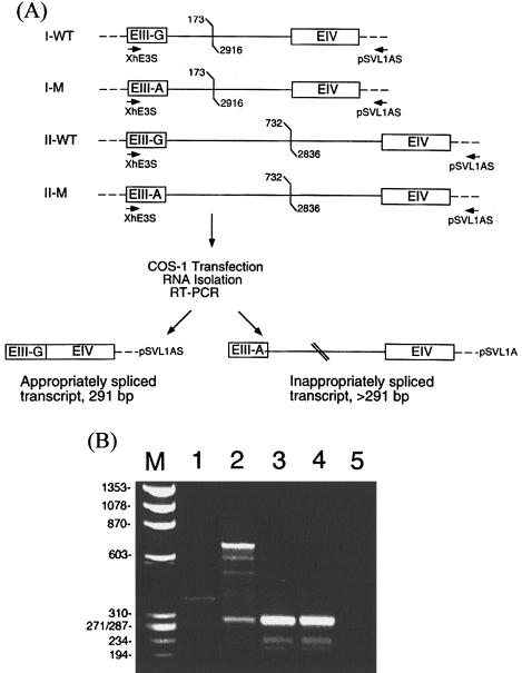 Figure  1