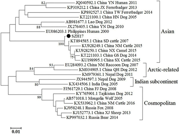 FIGURE 2