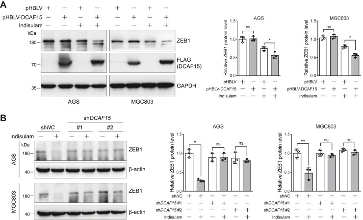 Figure 6