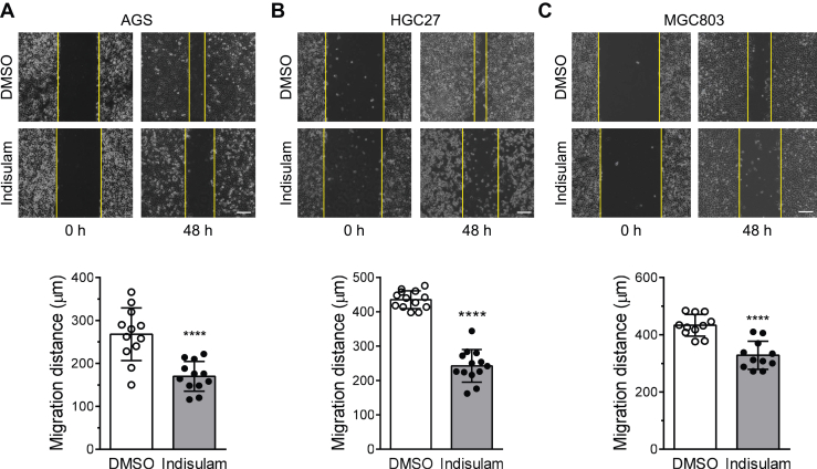 Figure 2