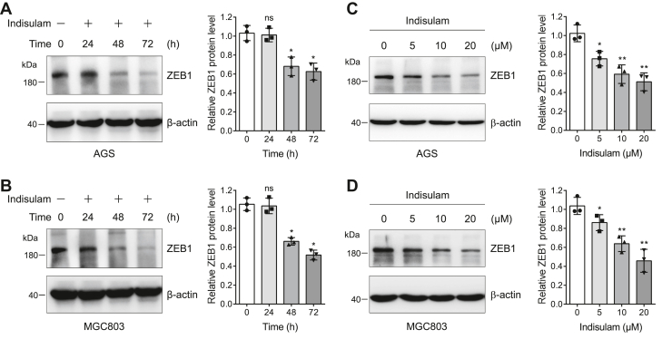 Figure 5