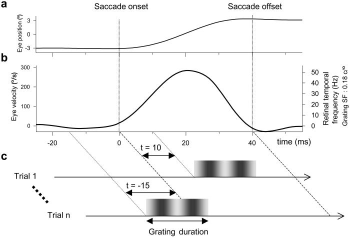 Fig 1.