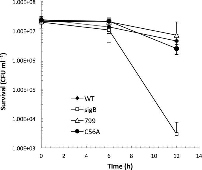 FIG 6