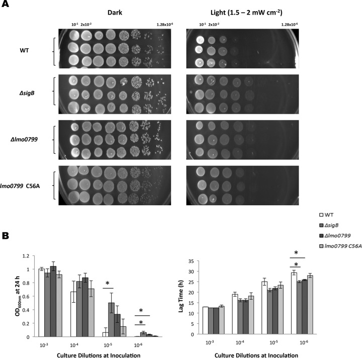 FIG 9