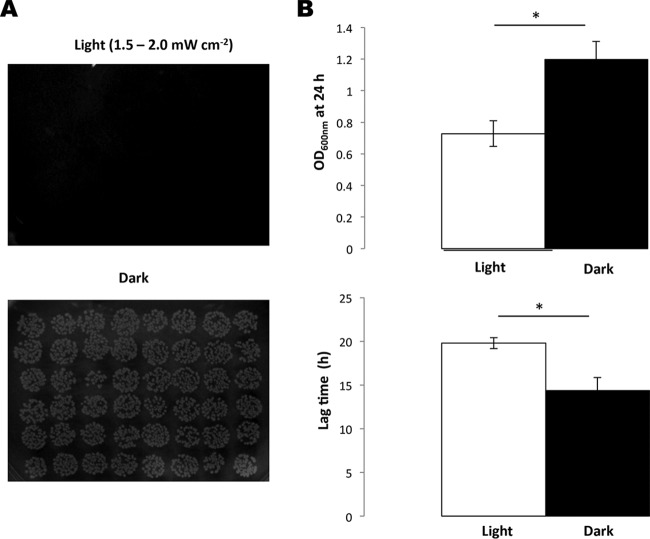 FIG 1