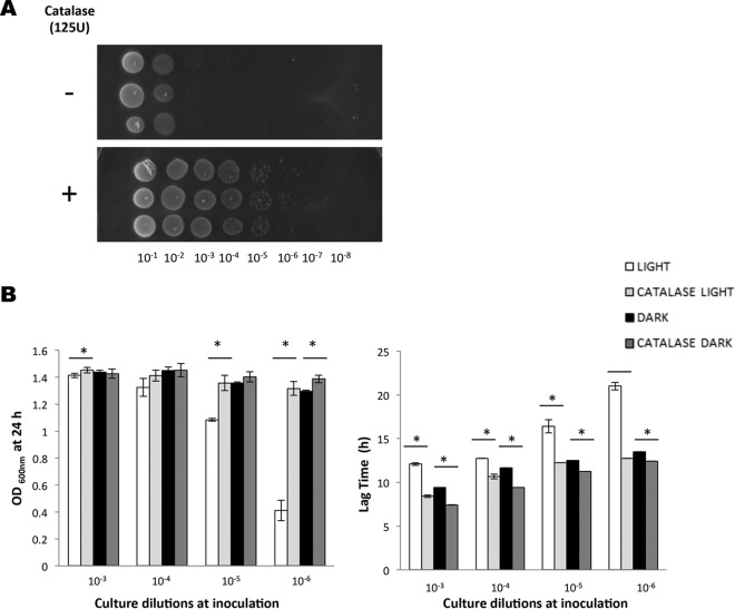 FIG 4