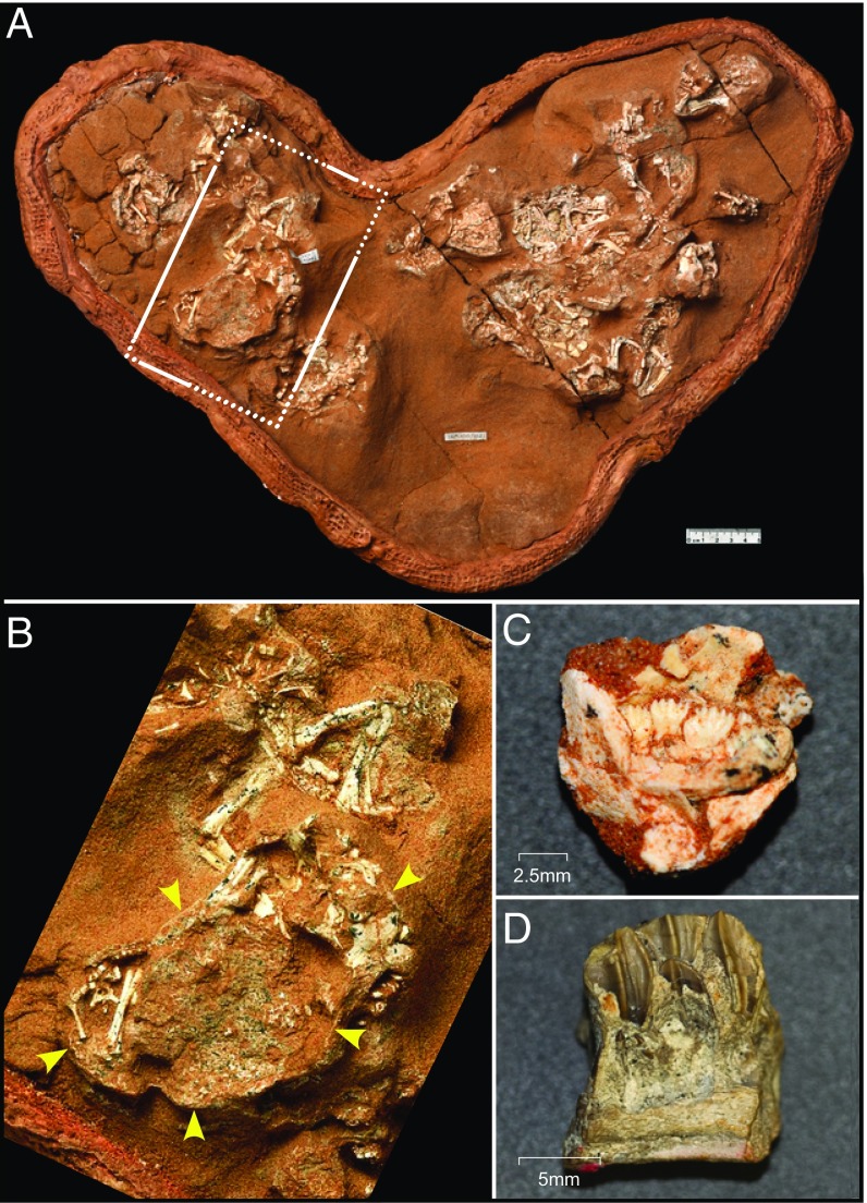 Fig. 2.