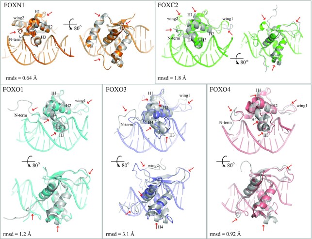 Figure 5.