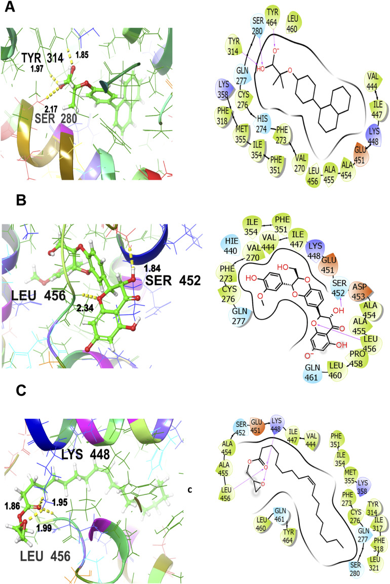 Figure 5.