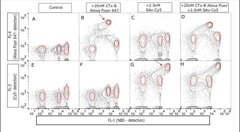 Figure 5.