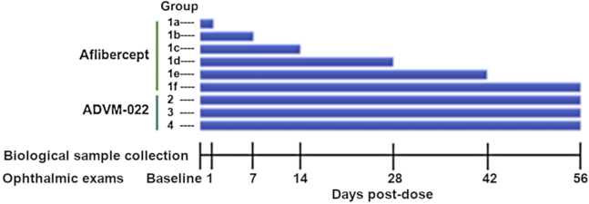 Figure 5