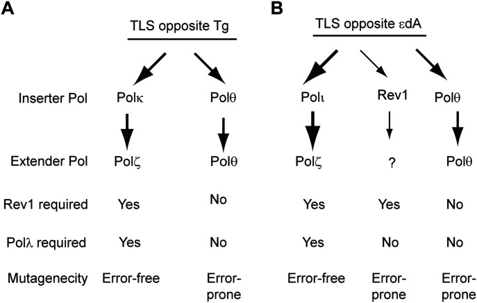 Figure 7.