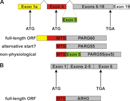 FIGURE 1.