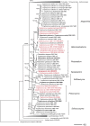 Fig. 4