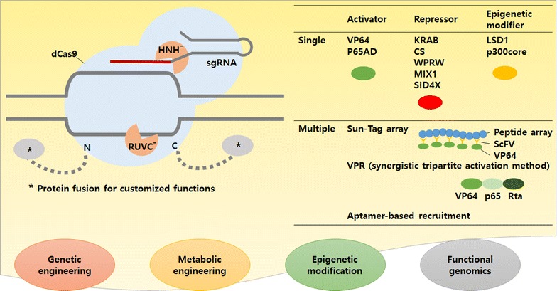 Fig. 3