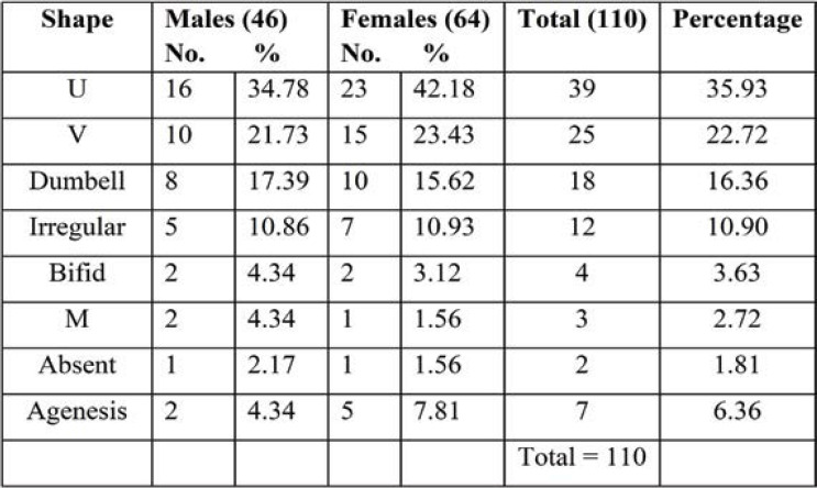 TABLE 7.