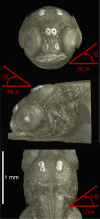 Fig 5