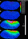 Fig 4