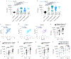 Fig. 2 ∣