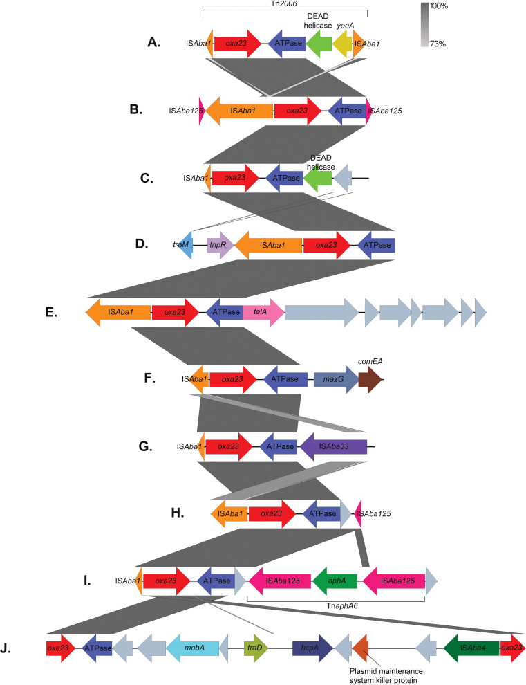 Fig. 3.