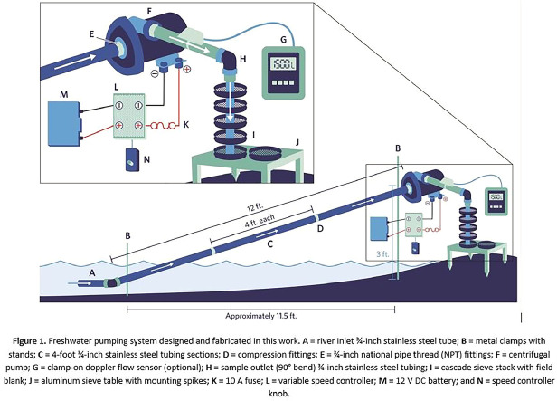 Image, graphical abstract