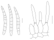 Fig. 57.