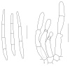 Fig. 15.