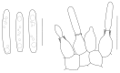 Fig. 53.