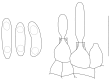 Fig. 81.
