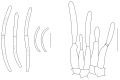 Fig. 106.