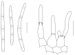 Fig. 75.
