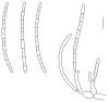 Fig. 21.