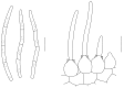 Fig. 64.