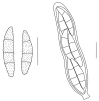 Fig. 69.
