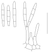 Fig. 13.
