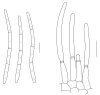 Fig. 41.