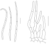 Fig. 104.