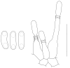 Fig. 73.