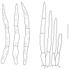 Fig. 17.