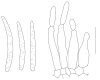 Fig. 22.
