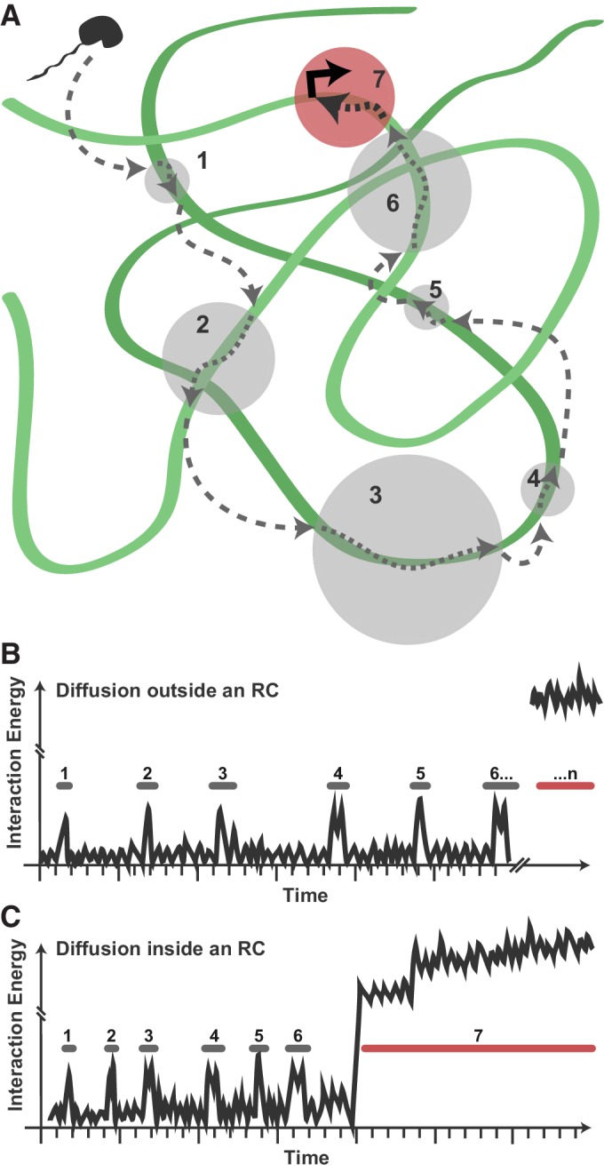 Figure 7.