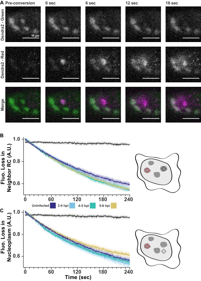 Figure 2—figure supplement 2.