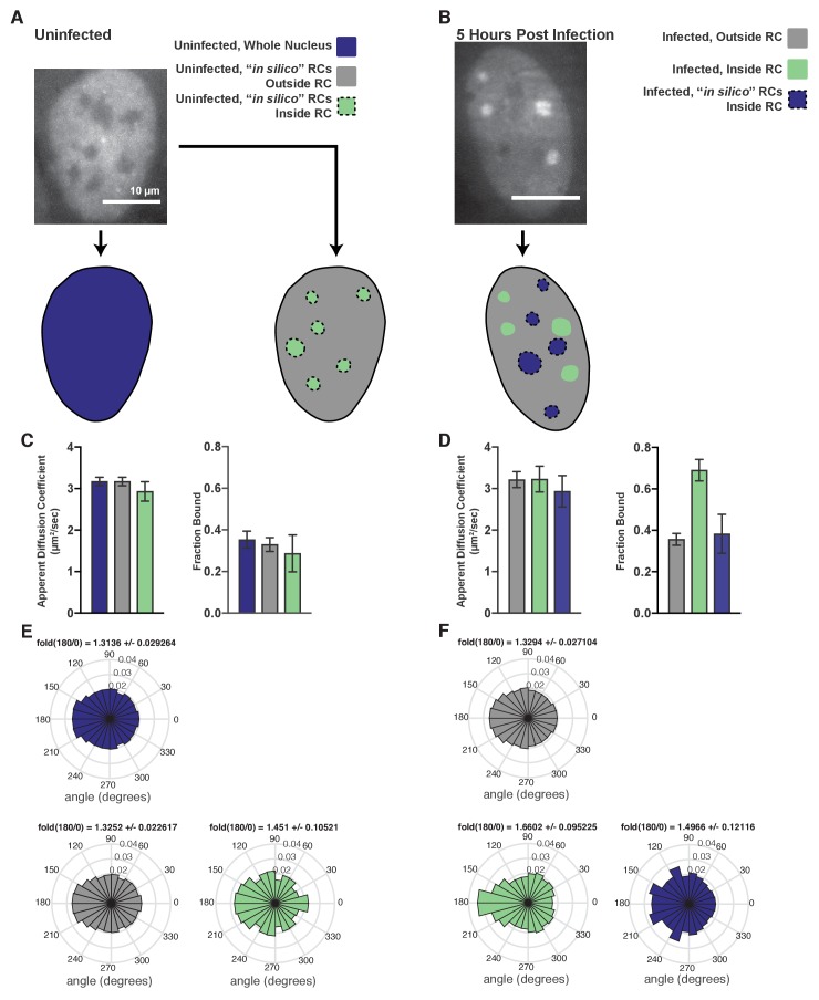 Figure 2—figure supplement 3.